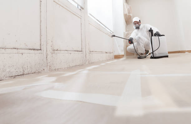 24/7 Emergency Mold Removal experts in Madison, NC