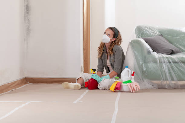 Reliable Mold Removal contractor in Madison, NC by WQB Mold Removal